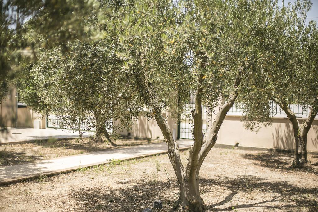 Olive Tree Apartments فوركا المظهر الخارجي الصورة